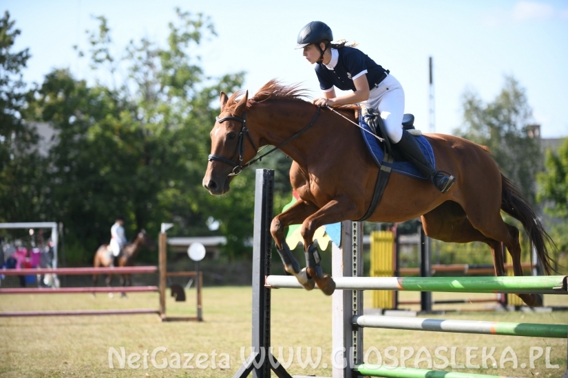 Amazonki z Nenii walczyły o Puchary Burmistrza Lidzbarka