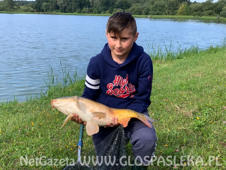 Dominik pomagał dziadkowi