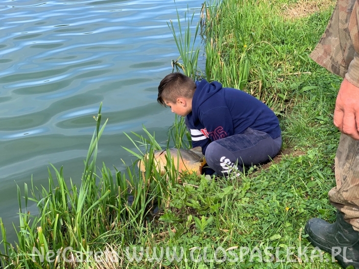 Dominik pomagał dziadkowi