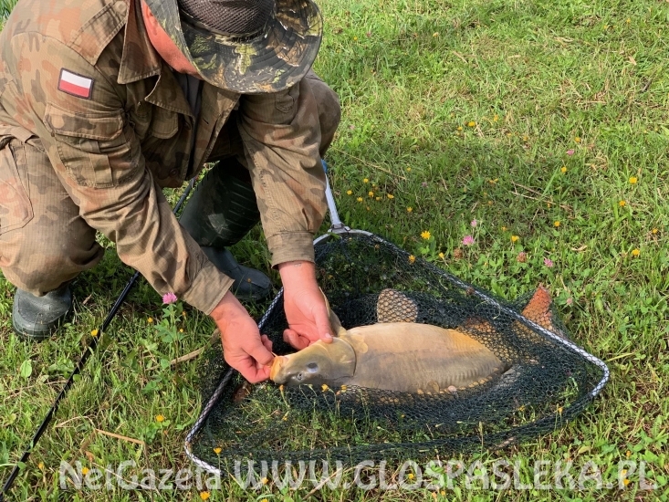 Dominik pomagał dziadkowi