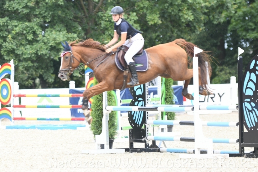 W niedzielę finały