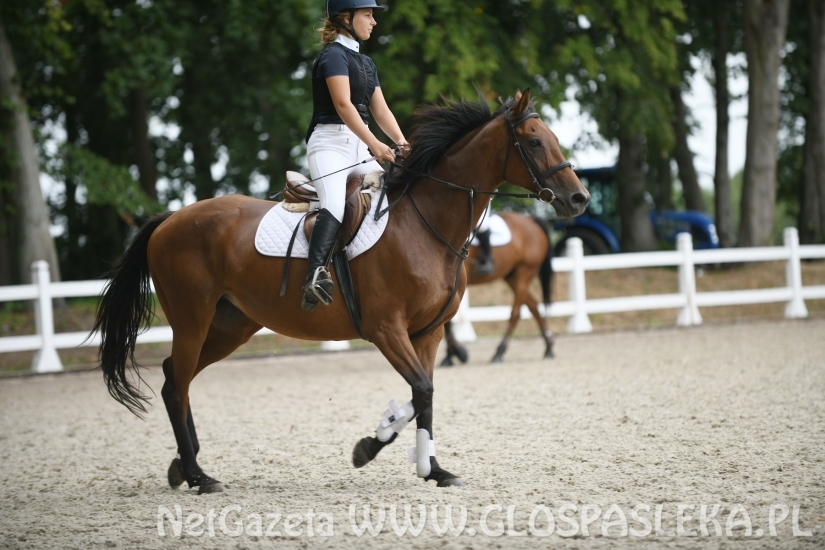 W niedzielę finały