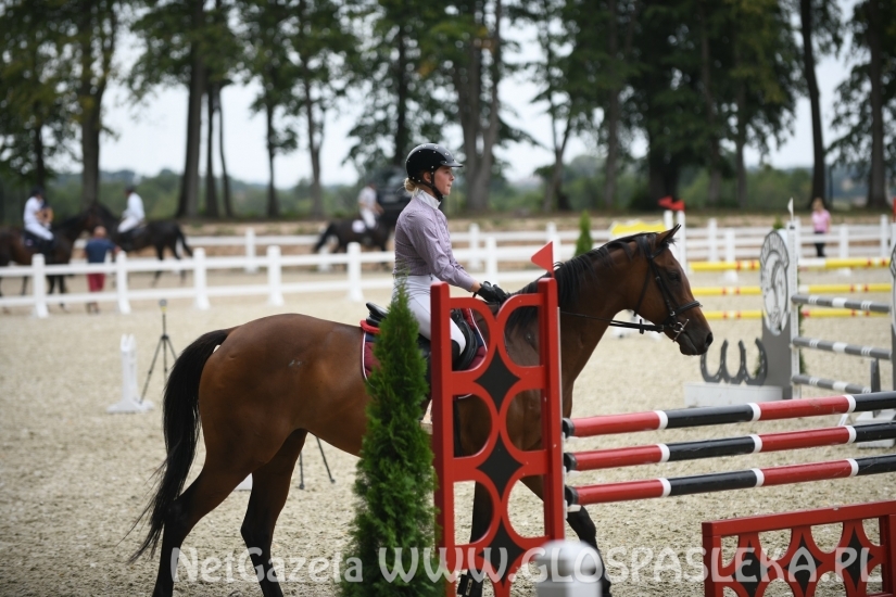 W niedzielę finały