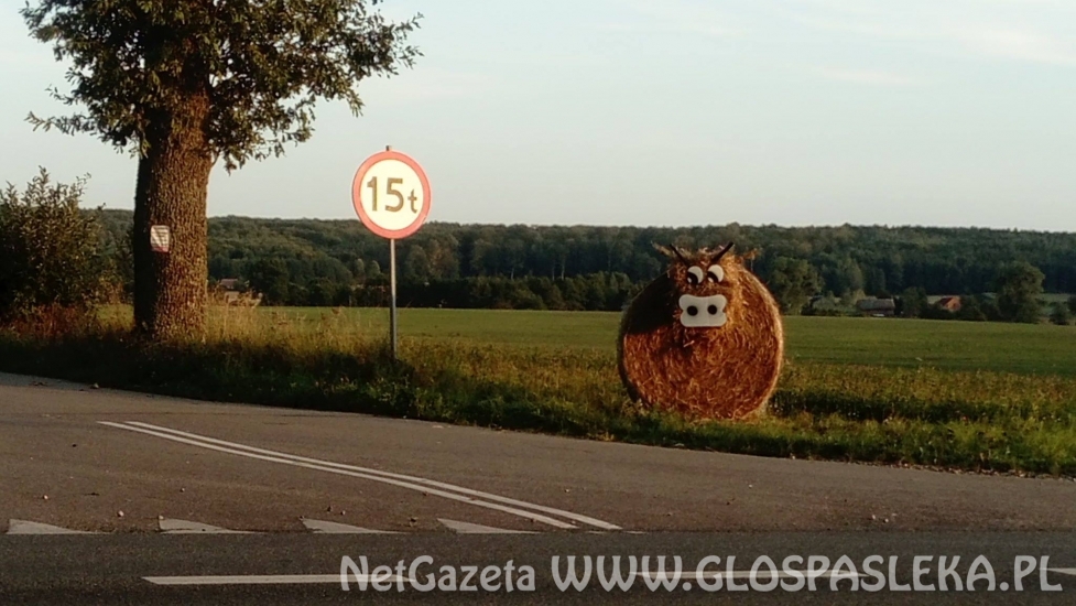 Zabawa country w Podągach