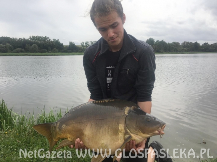 Karp 18,800 kg