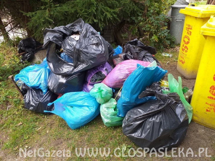 ZS bierze udział w akcji „Sprzątanie Świata 2019