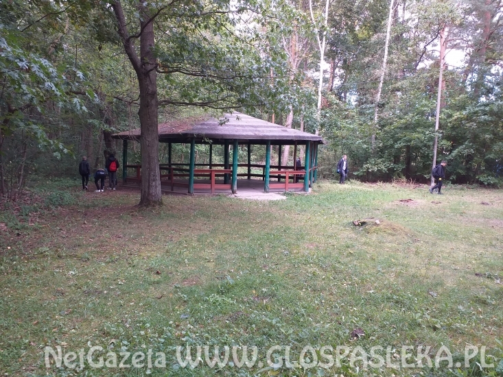 ZS bierze udział w akcji „Sprzątanie Świata 2019