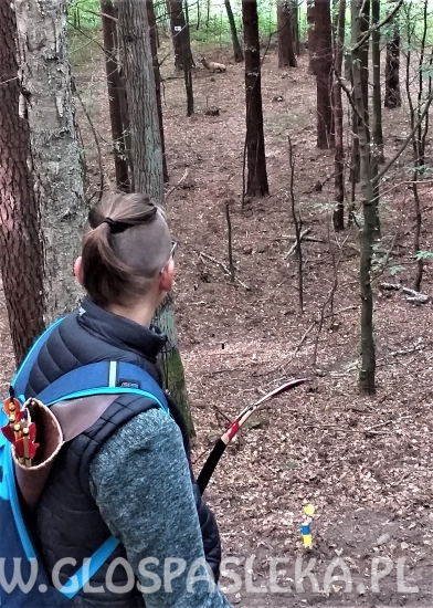 Medalowy łucznik z Pasłęka