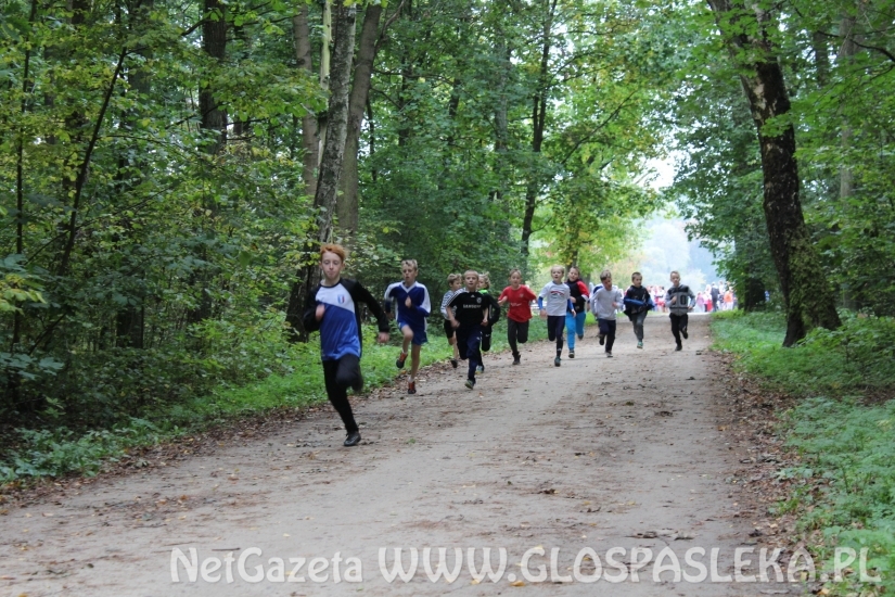 Przełaje w Parku Ekologicznym