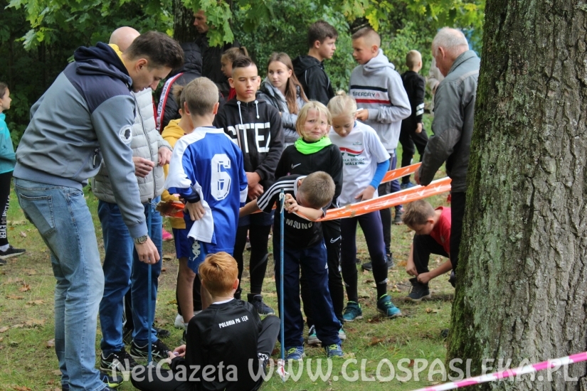 Przełaje w Parku Ekologicznym