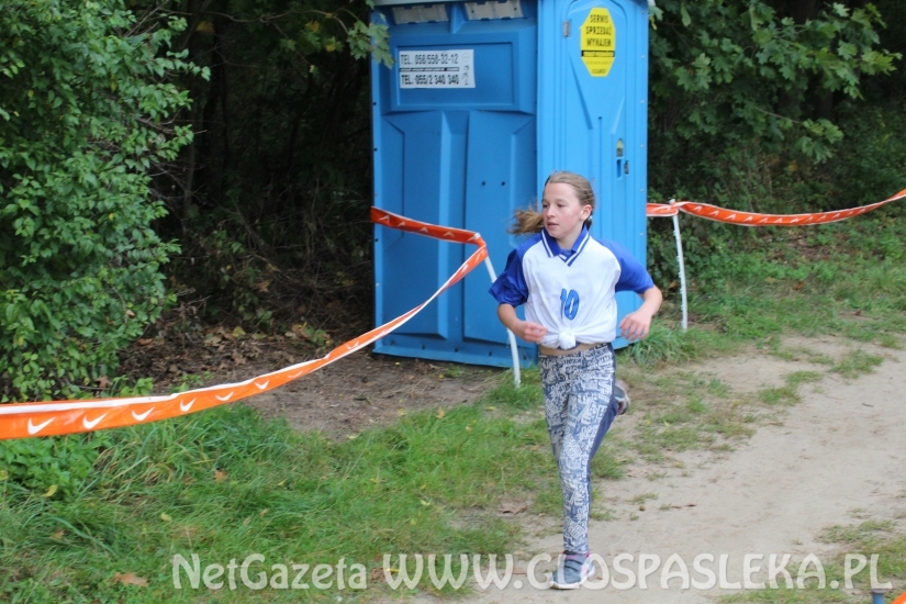 Przełaje w Parku Ekologicznym