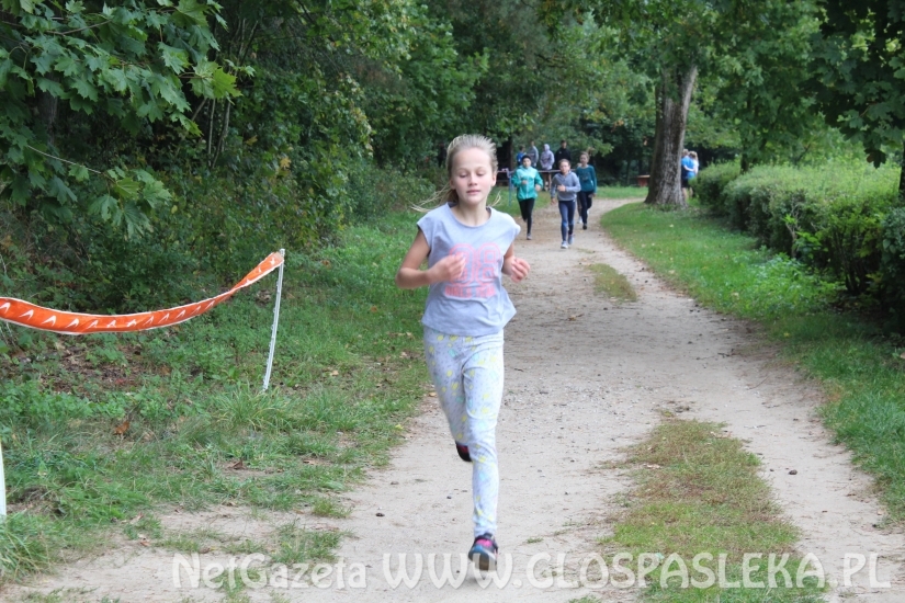 Przełaje w Parku Ekologicznym
