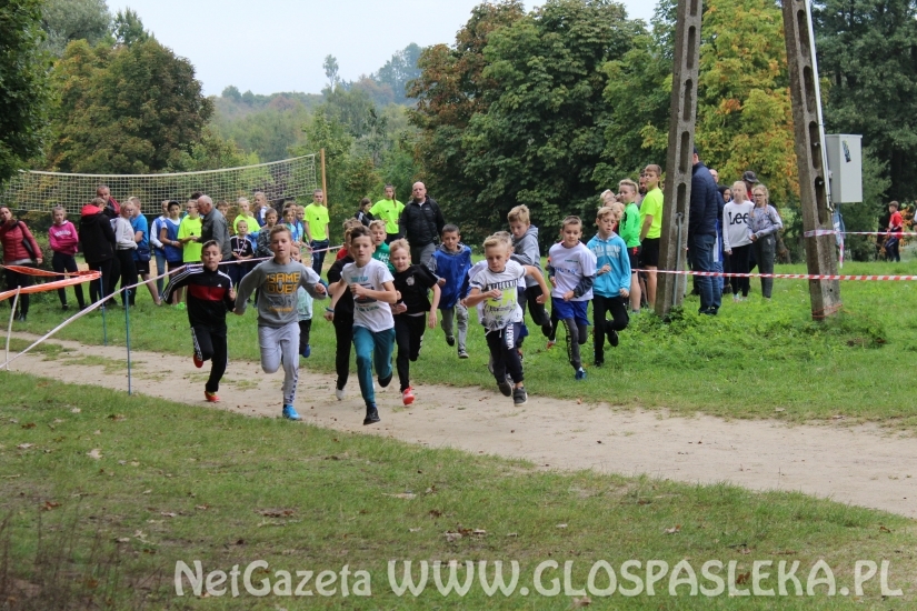 Przełaje w Parku Ekologicznym