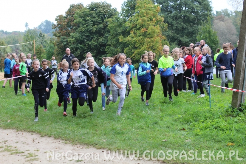 Przełaje w Parku Ekologicznym