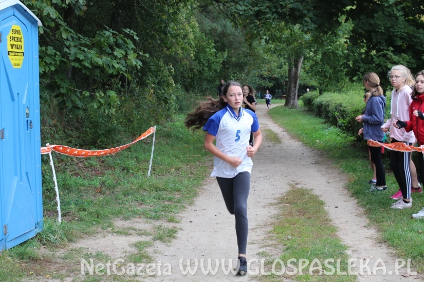 Przełaje w Parku Ekologicznym