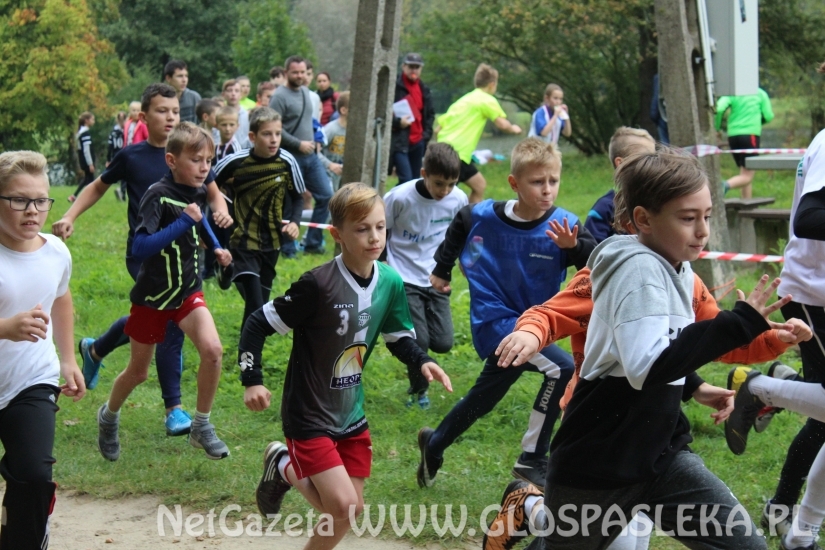 Przełaje w Parku Ekologicznym