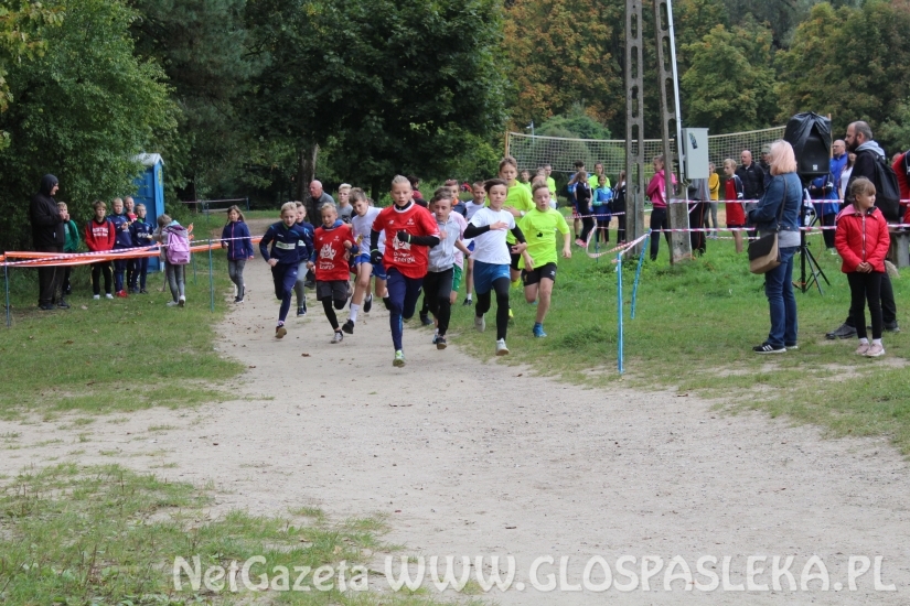 Przełaje w Parku Ekologicznym