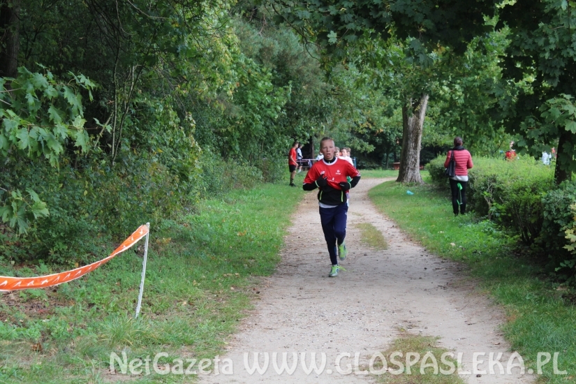 Przełaje w Parku Ekologicznym