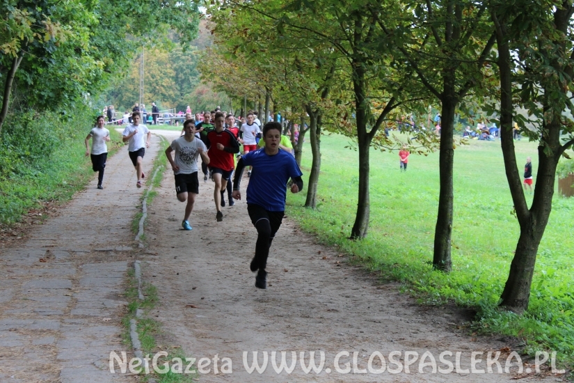 Przełaje w Parku Ekologicznym