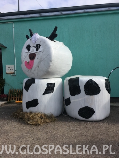 Msza dożynkowa i spotkanie w świetlicy