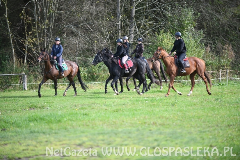 Hubertus w Parku Ekologicznym