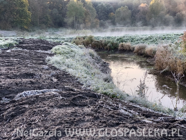 Porządkowanie Kanału Młyńskiego