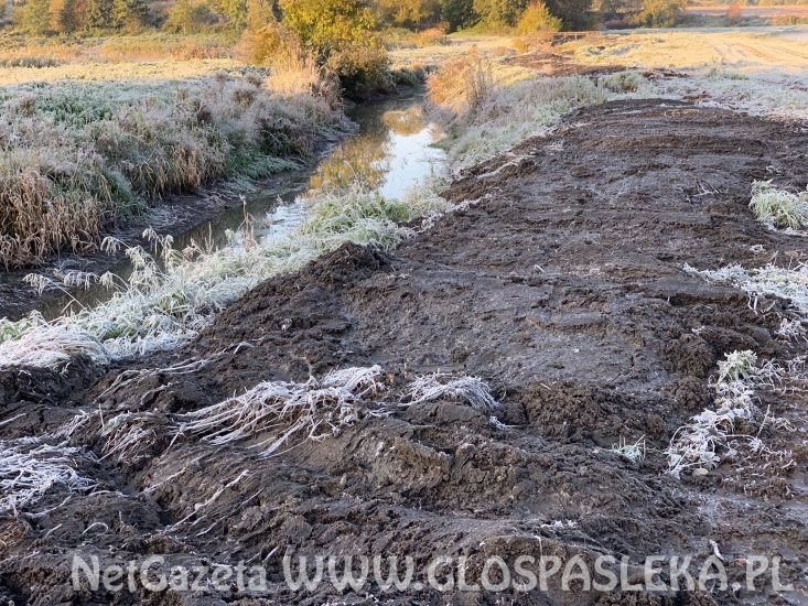 Porządkowanie Kanału Młyńskiego