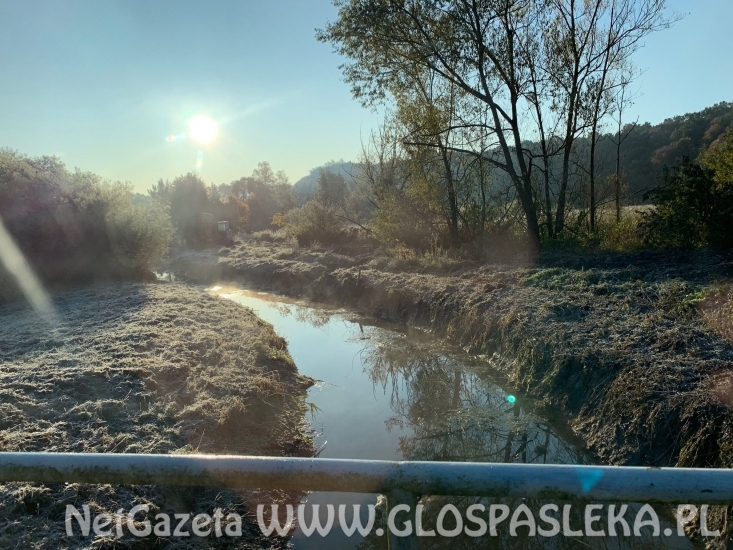 Porządkowanie Kanału Młyńskiego