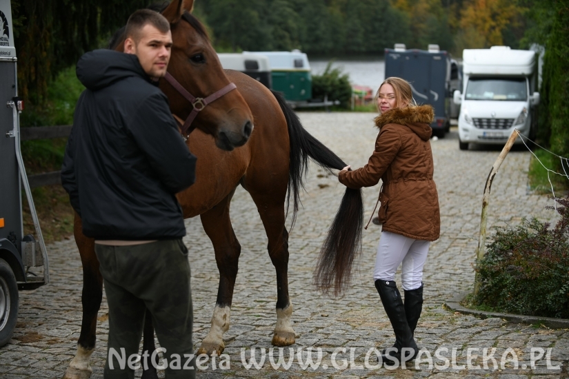 Udany występ Justyny