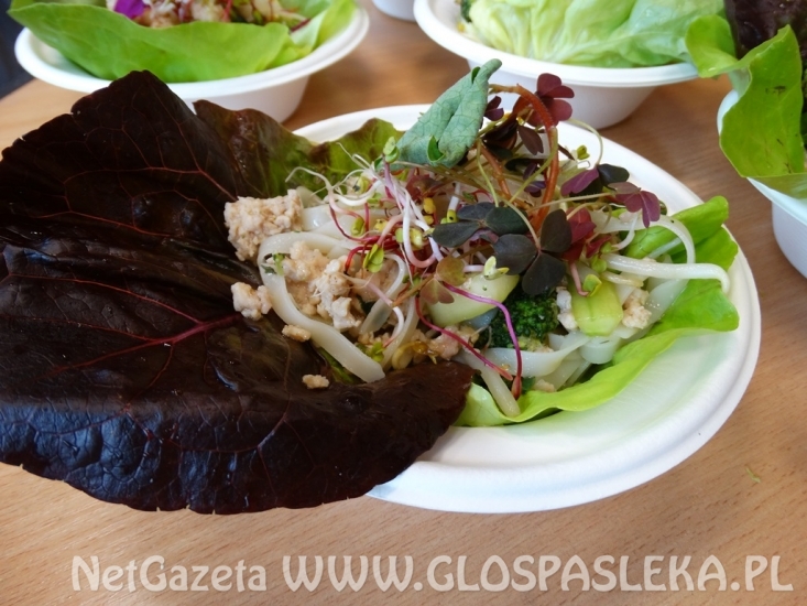 Krasin warsztaty kulinarne