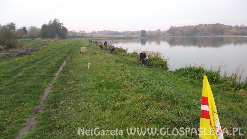 Wyniki Grand Prix Zakrzewka II