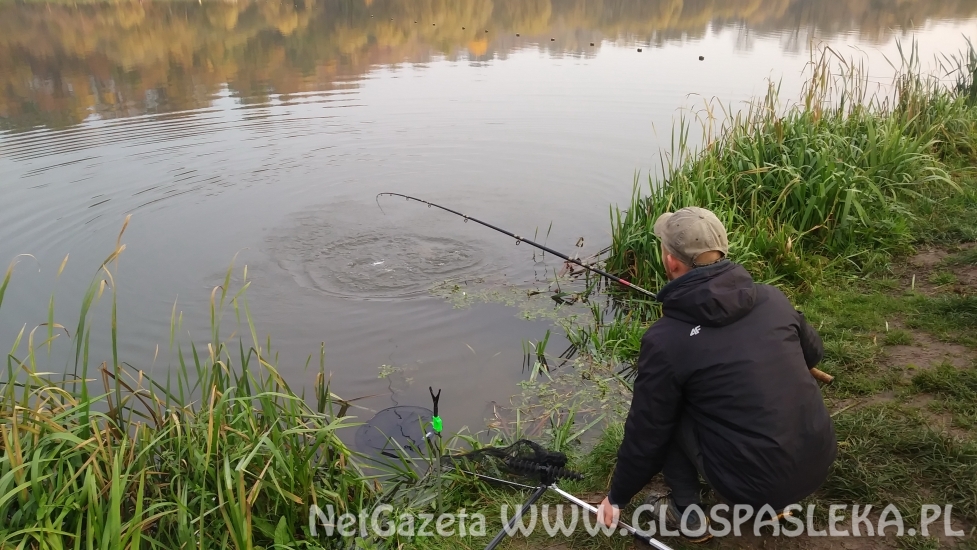 Wyniki Grand Prix Zakrzewka II