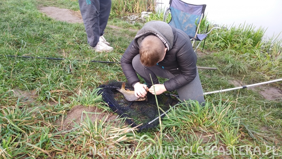 Wyniki Grand Prix Zakrzewka II