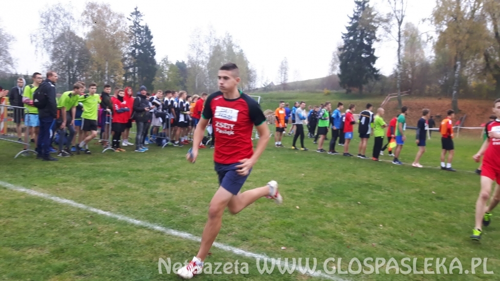 ZSEiT Mistrzem Województwa