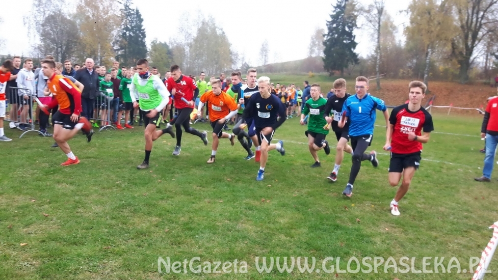 ZSEiT Mistrzem Województwa