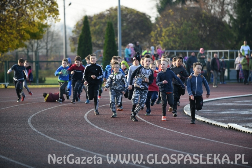 IV Pasłęckie Biegi z Okazji Dnia Niepodległości