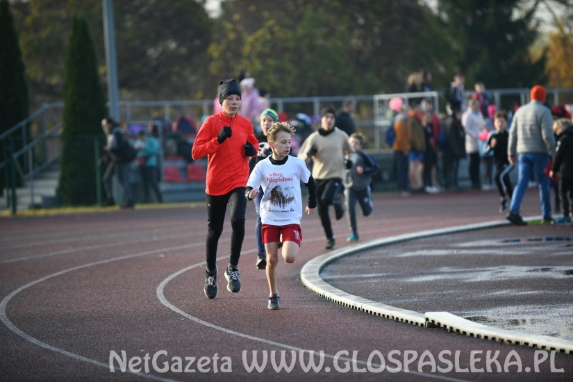 IV Pasłęckie Biegi z Okazji Dnia Niepodległości