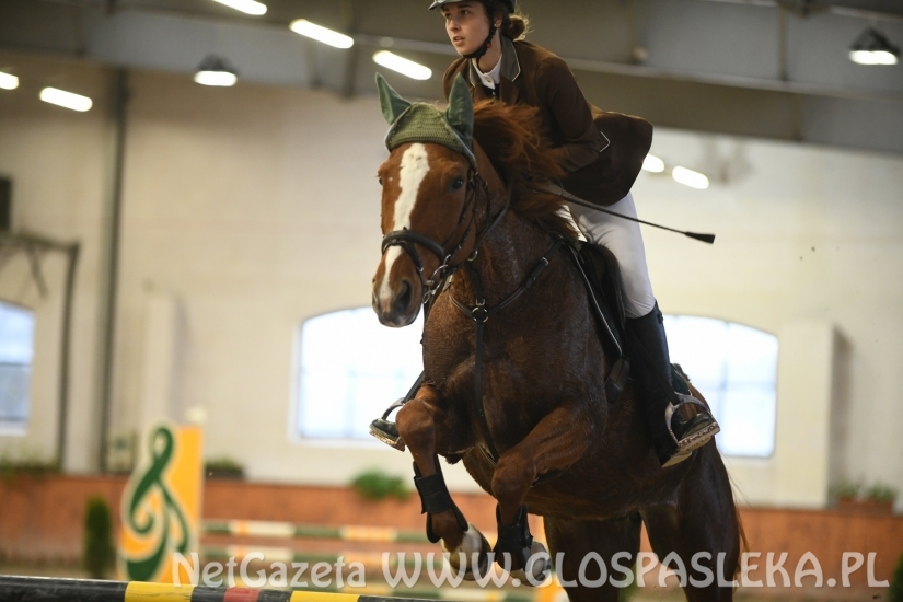 Dąbrówka 10.11.2019