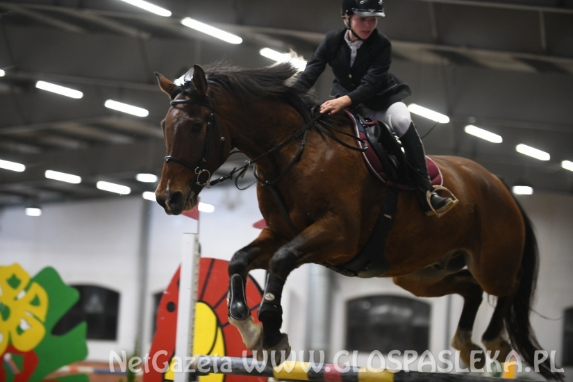 Dąbrówka 10.11.2019