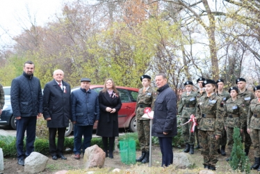 Dąb Niepodległości