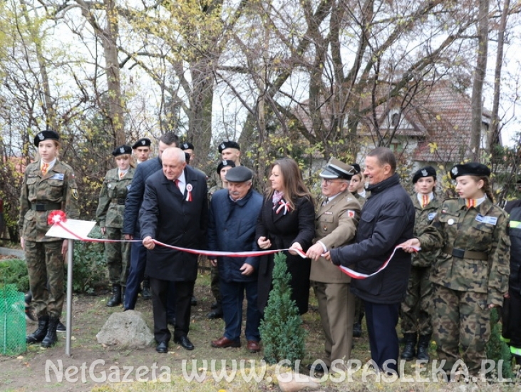 Dąb Niepodległości