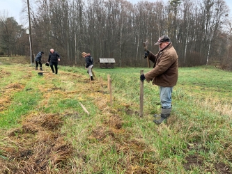 Bez i łąka kwietna