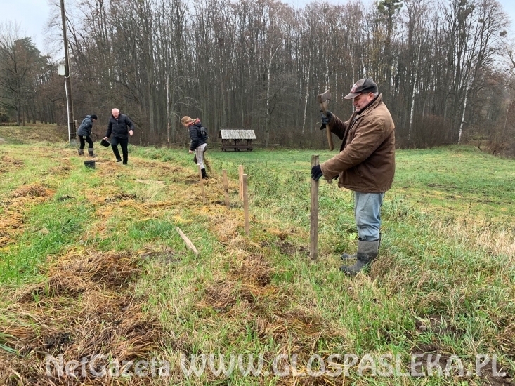 Bez i łąka kwietna