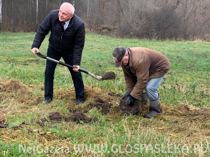 Bez i łąka kwietna