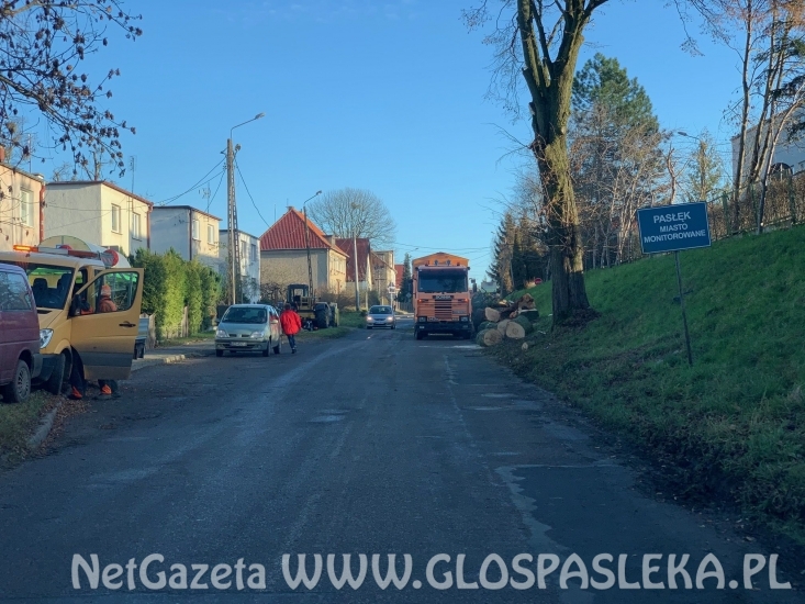 Porządkują drzewostan