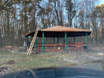 Grzybek do celów gastronomicznych