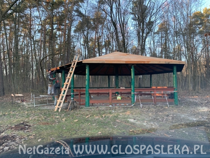 Grzybek do celów gastronomicznych