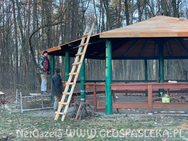 Grzybek do celów gastronomicznych