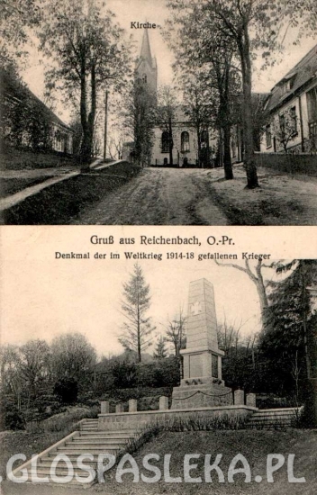 Monografia Rychlik - wydanie II