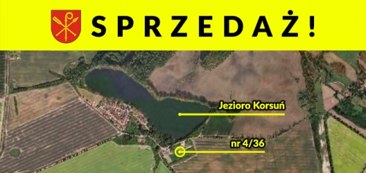 Rychliki sprzedaż działek